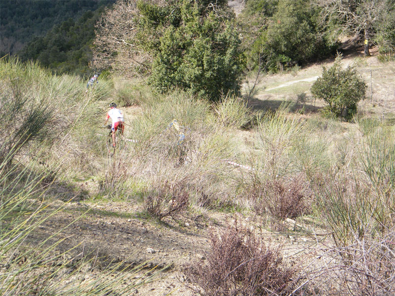 gal/2010/03 - La Via delle Miniere 2010/Poggio della Fornace/DSCF0816-01.jpg